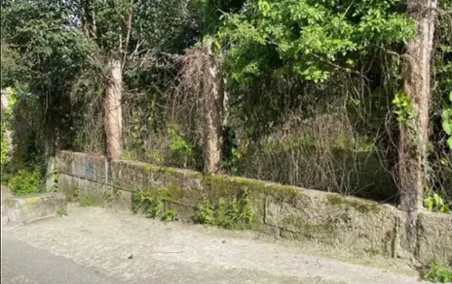 Tombo Vigo plot foto 6209934
