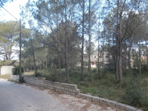 Sant Bernat Ribera Alta tomt foto 6257273