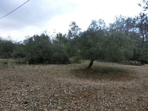 Sant Carles De La Ràpita Montsià tomt foto 6224716