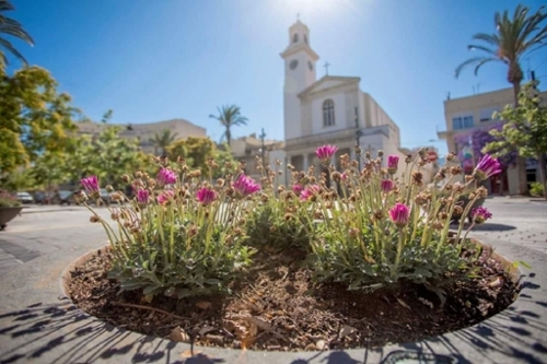 Sant Carles De La Ràpita Montsià tomt foto 6224721