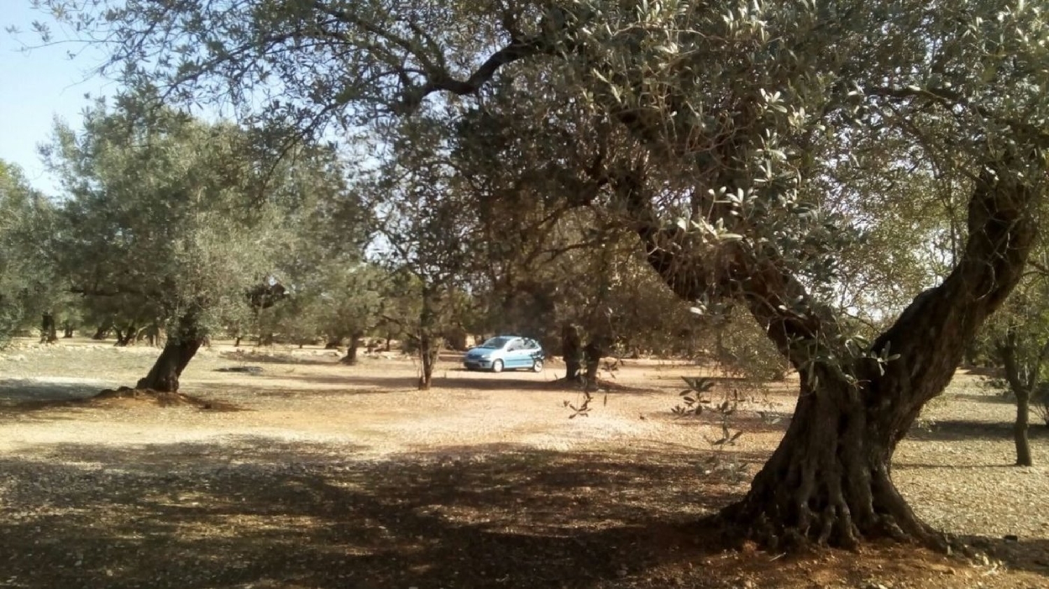  till salu tomt Sant Carles De La Ràpita Montsià 1
