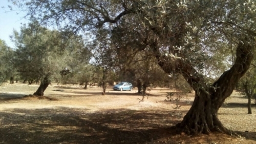 Sant Carles De La Ràpita Montsià tomt foto 6224724