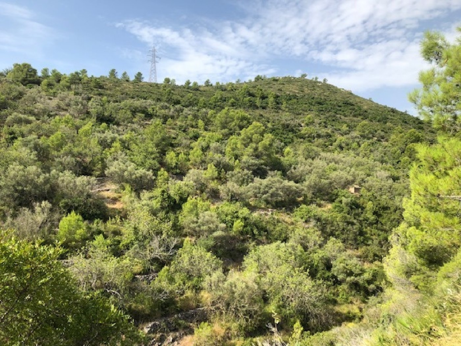  till salu tomt Sant Carles De La Ràpita Montsià 6