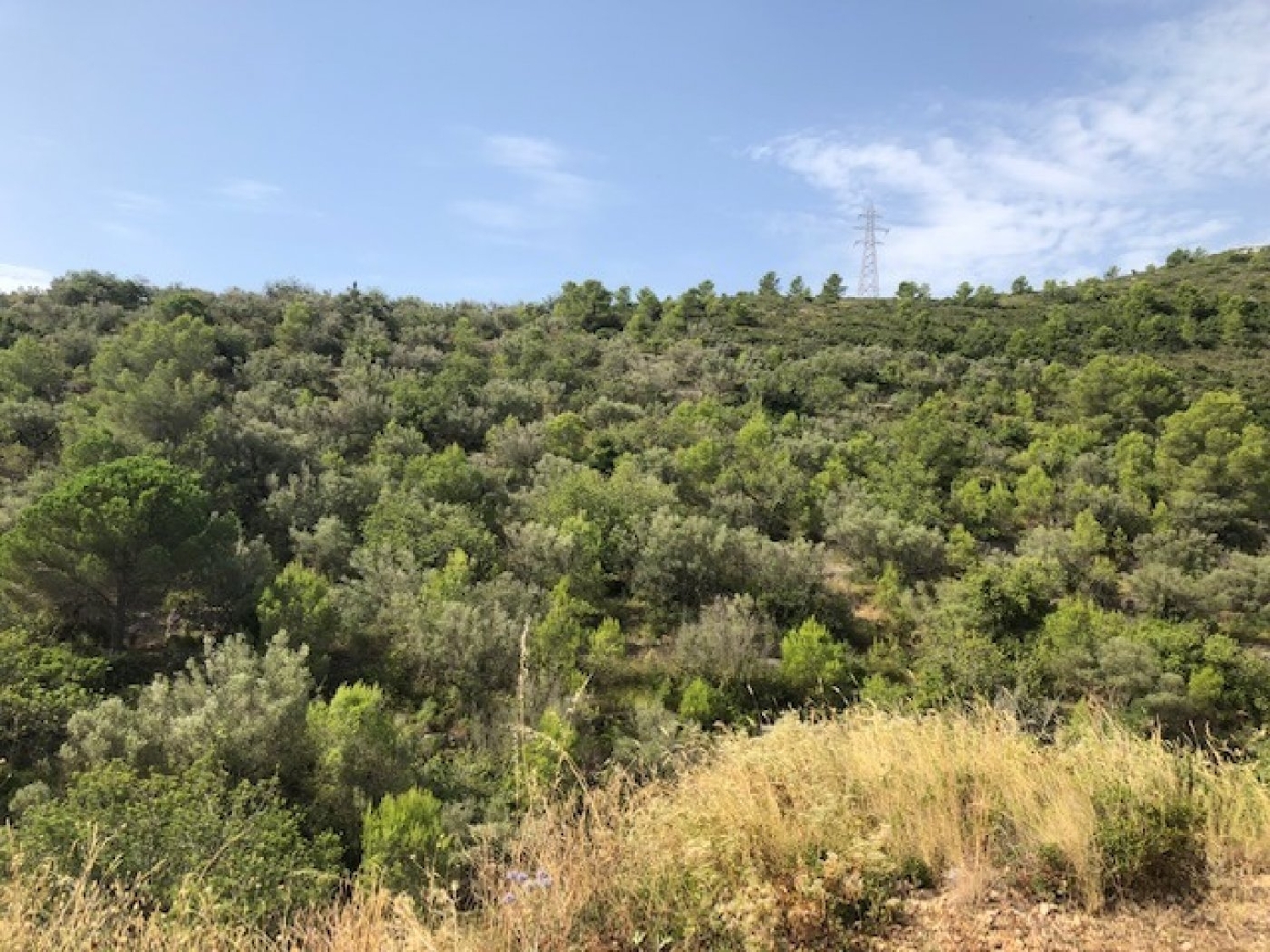  till salu tomt Sant Carles De La Ràpita Montsià 2