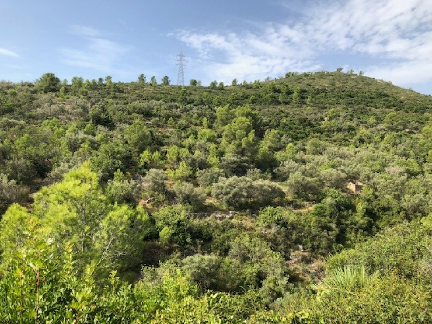  till salu tomt Sant Carles De La Ràpita Montsià 5
