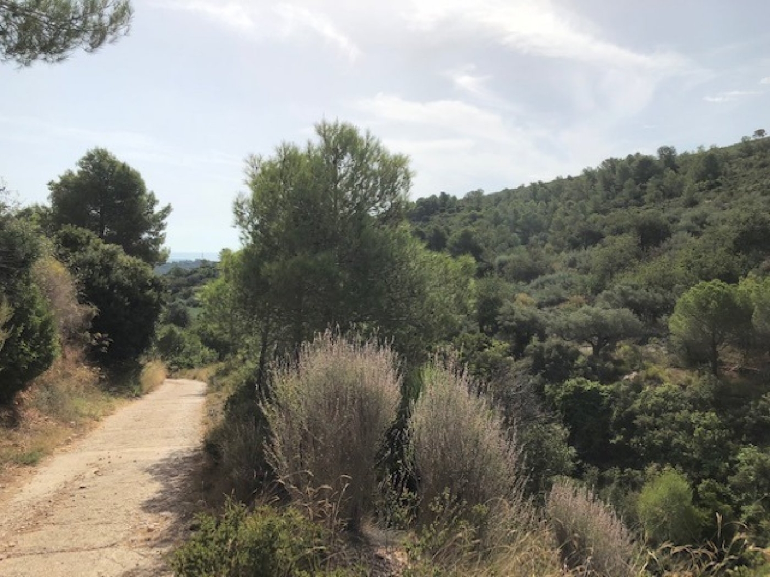  till salu tomt Sant Carles De La Ràpita Montsià 1