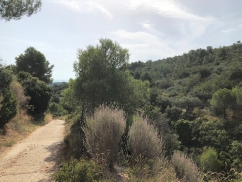 Sant Carles De La Ràpita Montsià tomt foto 6240969