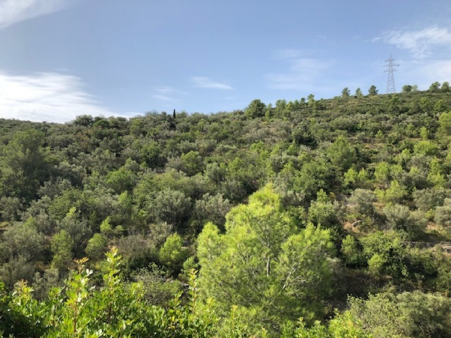  till salu tomt Sant Carles De La Ràpita Montsià 4