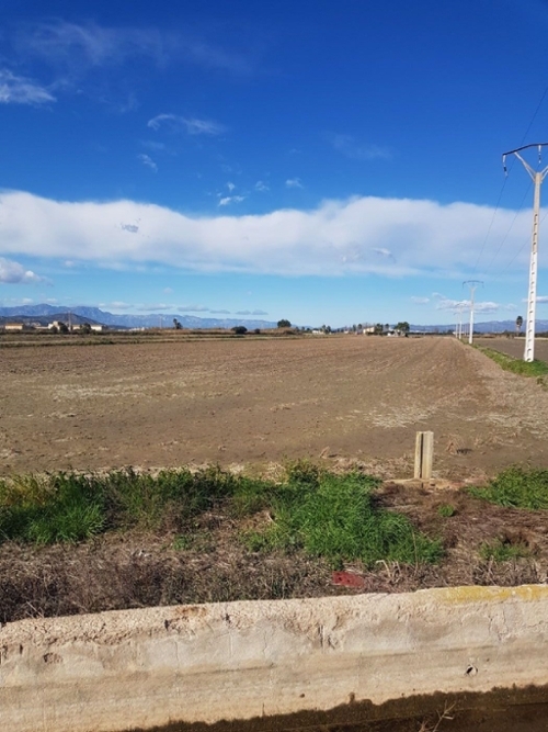 Sant Carles De La Ràpita Montsià tomt foto 6240991