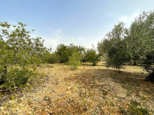Sant Carles De La Ràpita Montsià tomt foto 6241024
