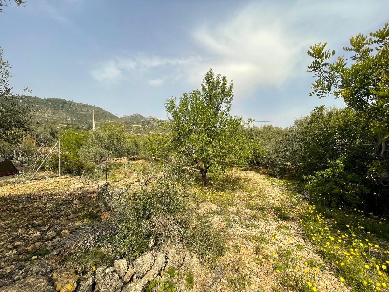  for sale plot Sant Carles De La Ràpita Montsià 7