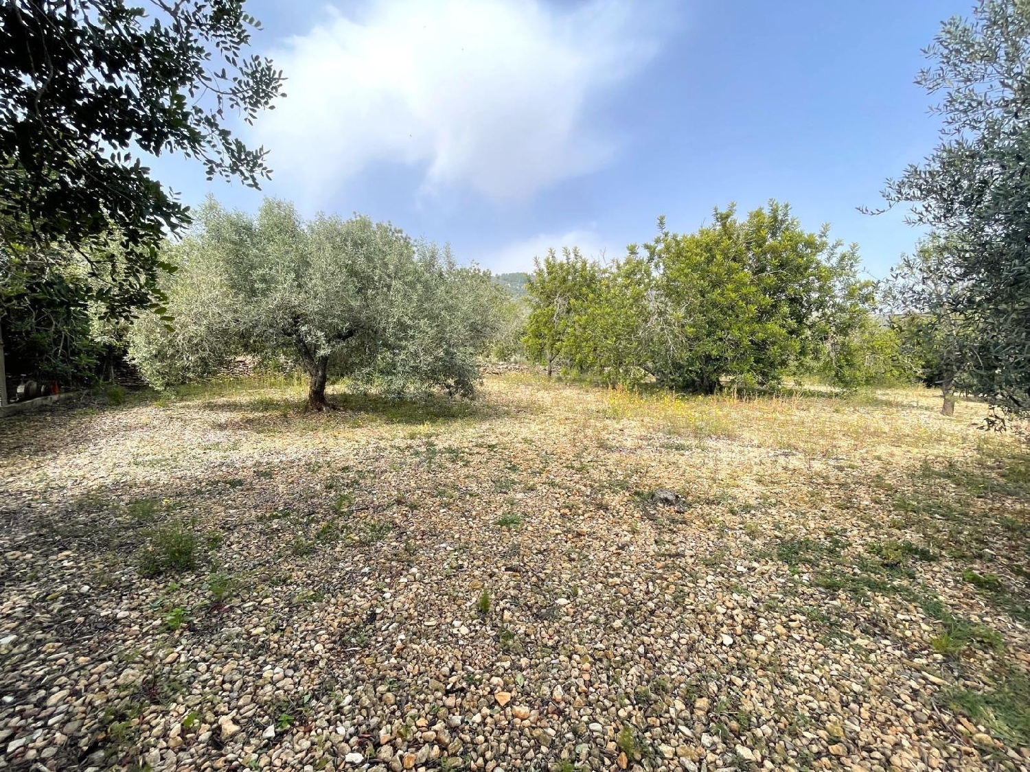  for sale plot Sant Carles De La Ràpita Montsià 1