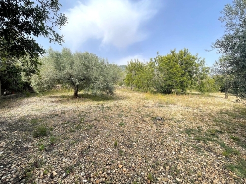 Sant Carles De La Ràpita Montsià tomt foto 6241025