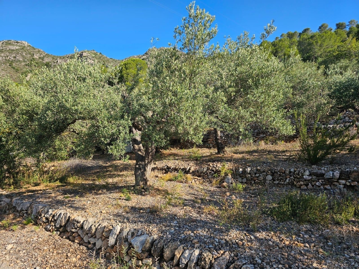  till salu tomt Sant Carles De La Ràpita Montsià 5
