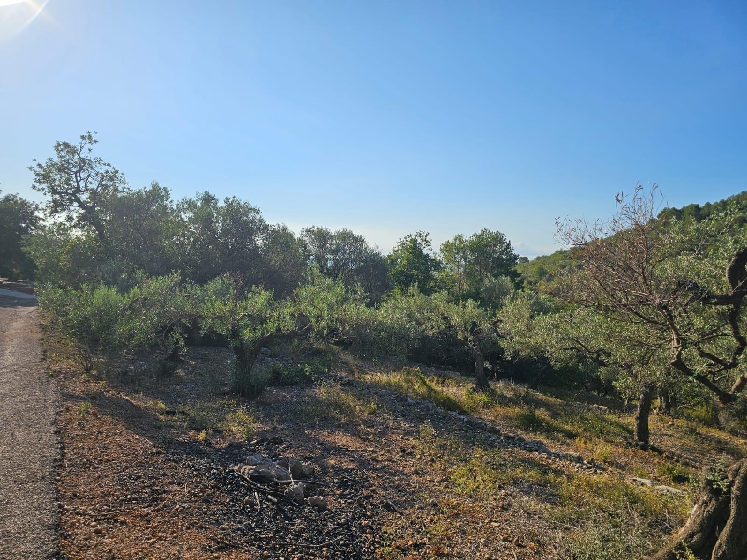 till salu tomt Sant Carles De La Ràpita Montsià 2