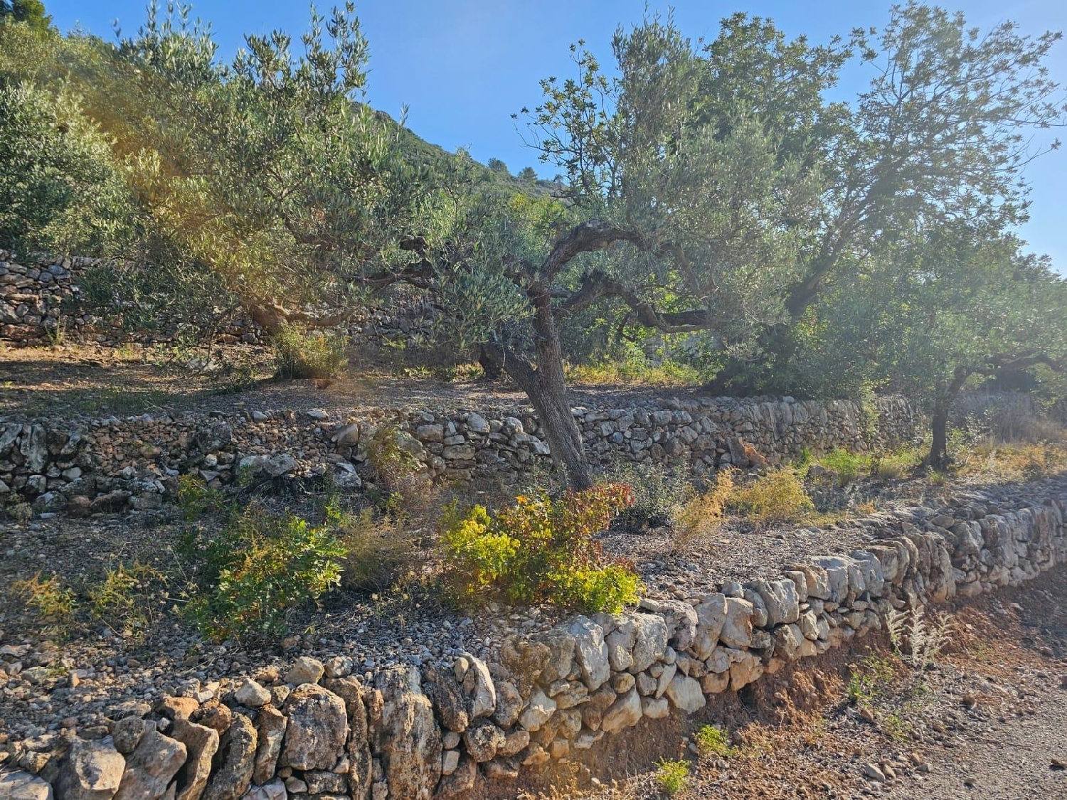  till salu tomt Sant Carles De La Ràpita Montsià 6
