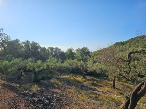 Sant Carles De La Ràpita Montsià tomt foto 6241039