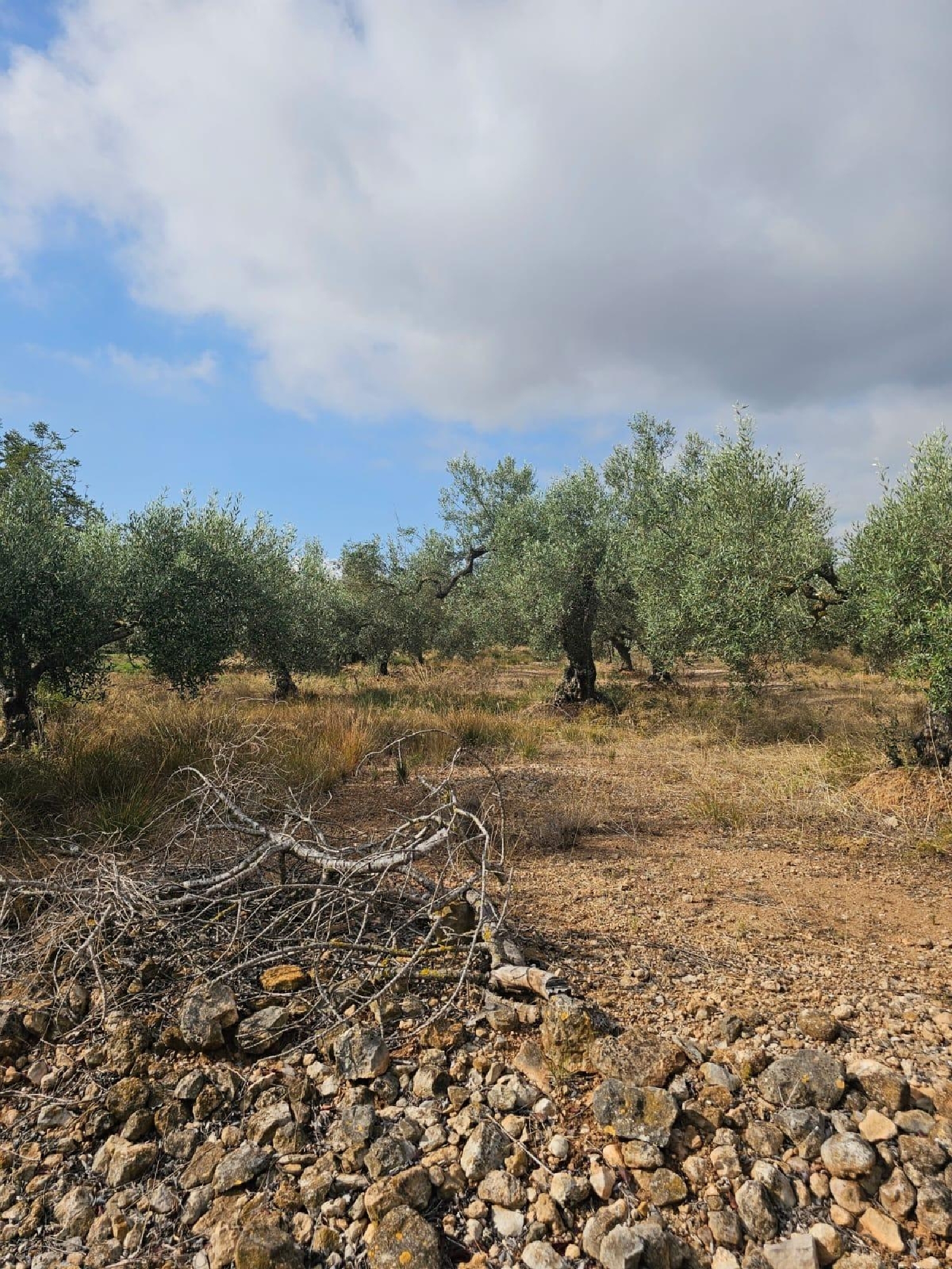  till salu tomt Sant Carles De La Ràpita Montsià 4