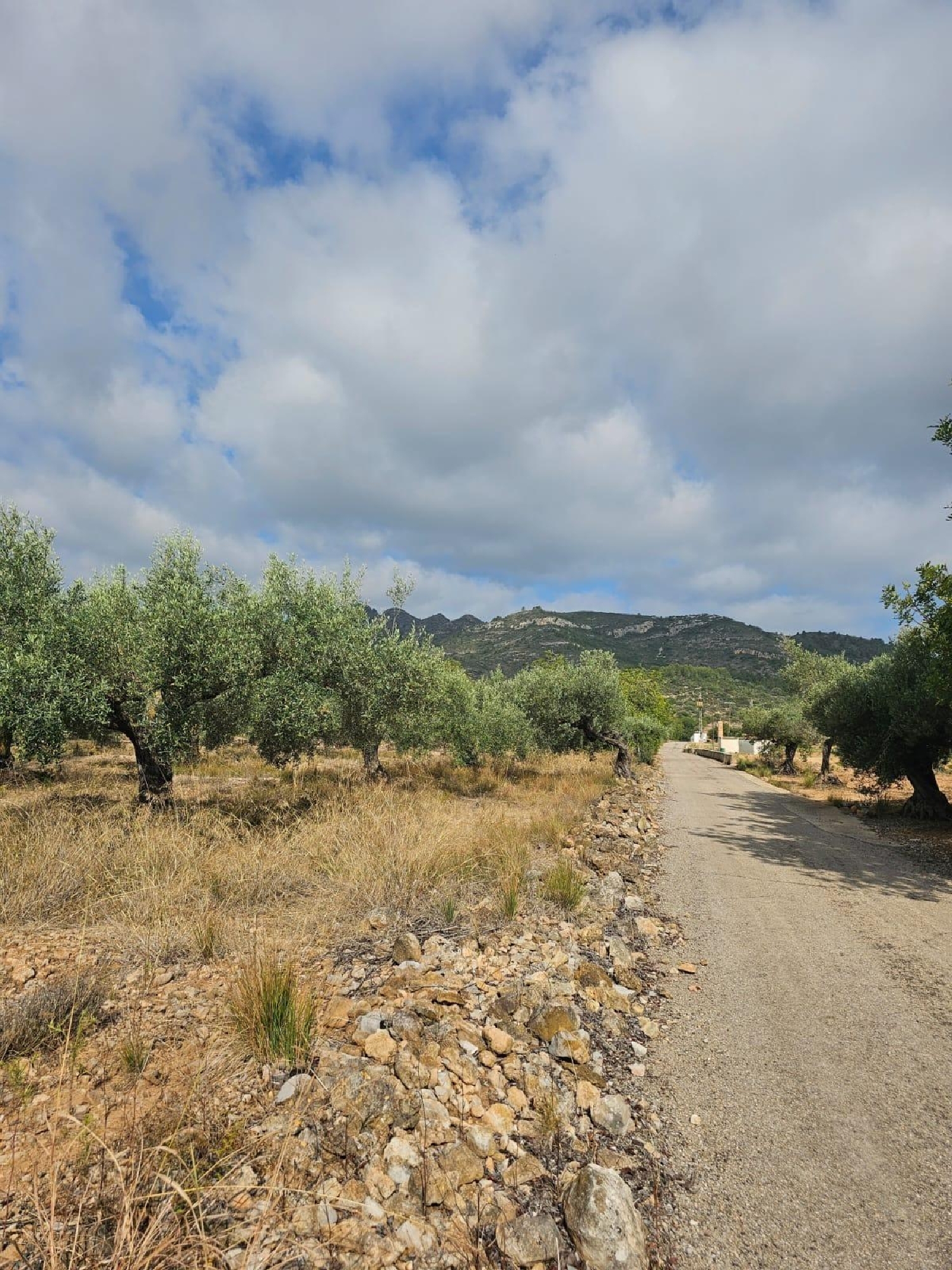 till salu tomt Sant Carles De La Ràpita Montsià 3