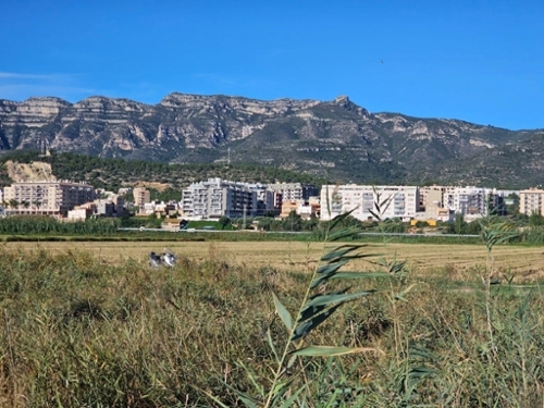 Sant Carles De La Ràpita Montsià tomt foto 6241050