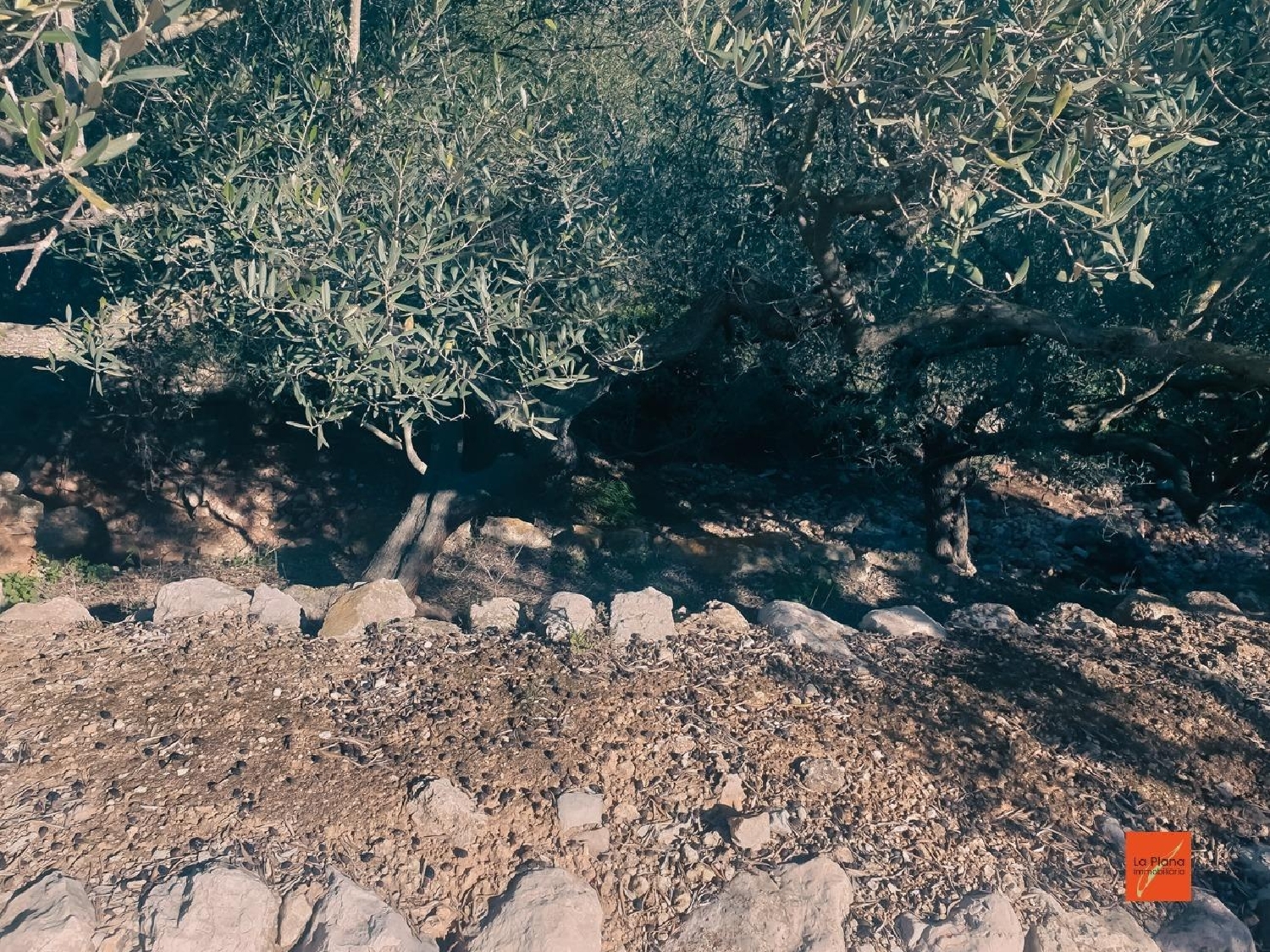 till salu tomt Sant Carles De La Ràpita Montsià 3