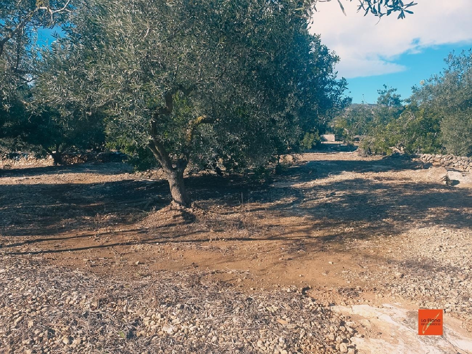  till salu tomt Sant Carles De La Ràpita Montsià 4