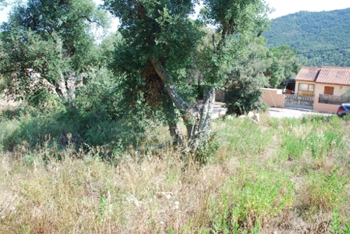 Sant Daniel Baix Empordà tomt foto 6261159
