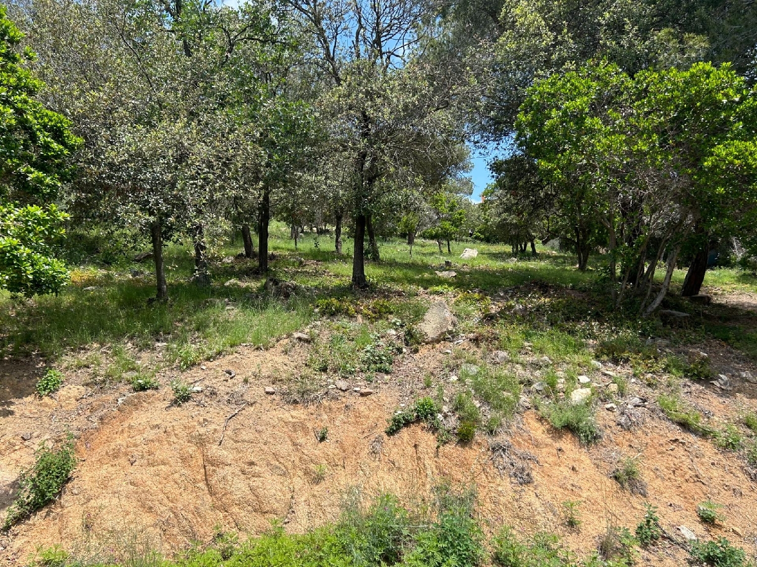  till salu tomt Sant Fost De Campsentelles Vallès Oriental 6