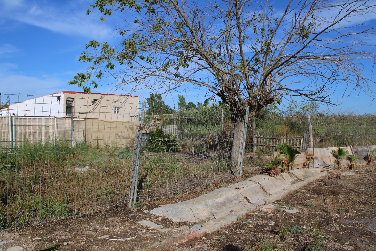 till salu tomt Sant Jaume D'enveja Montsià 3