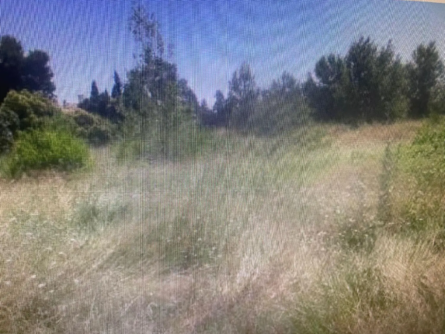  till salu tomt Sant Mateu Baix Maestrat 7