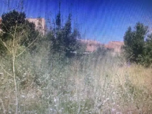 Sant Mateu Baix Maestrat tomt foto 6164690