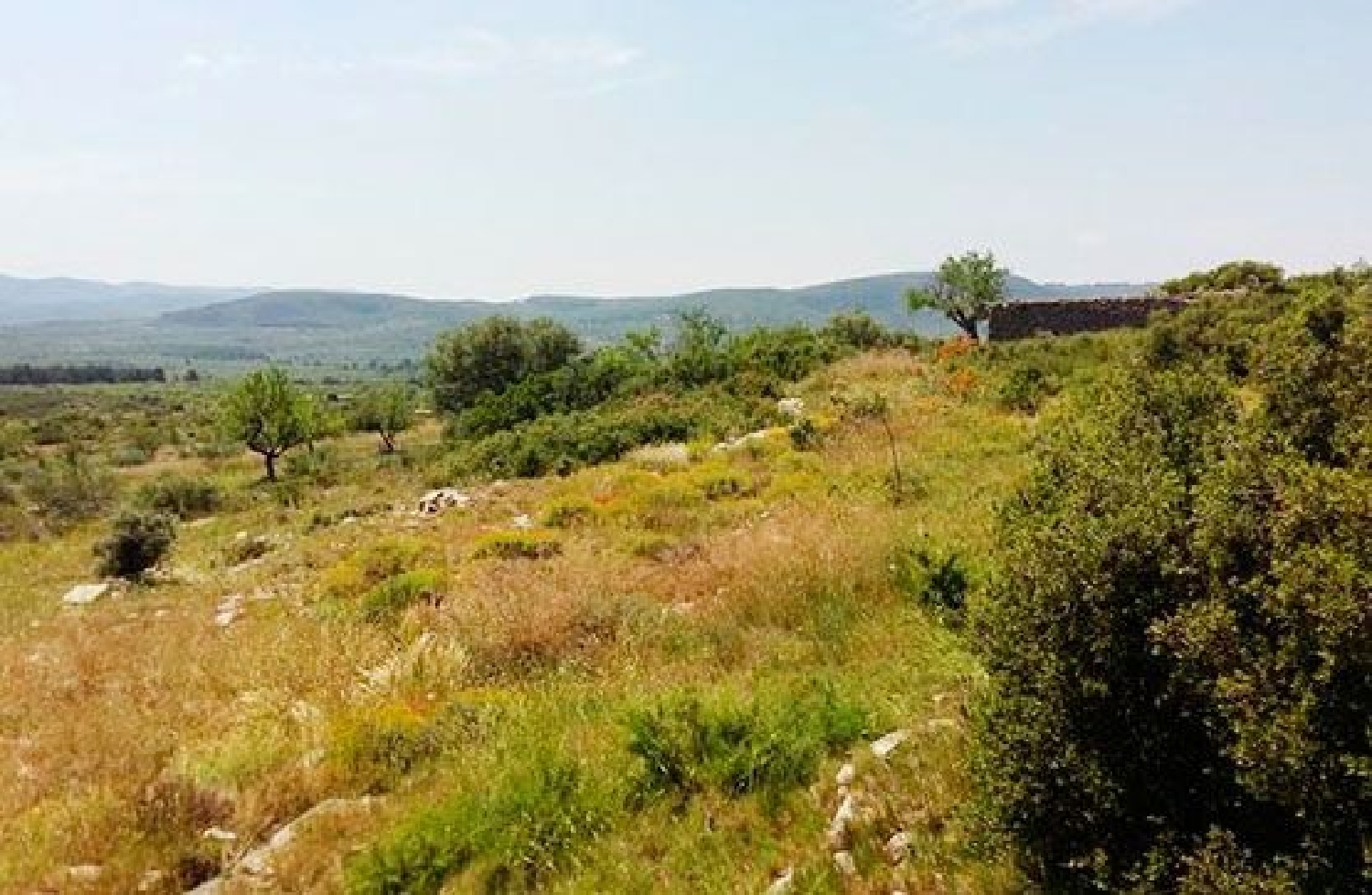  till salu tomt Sant Mateu Baix Maestrat 3