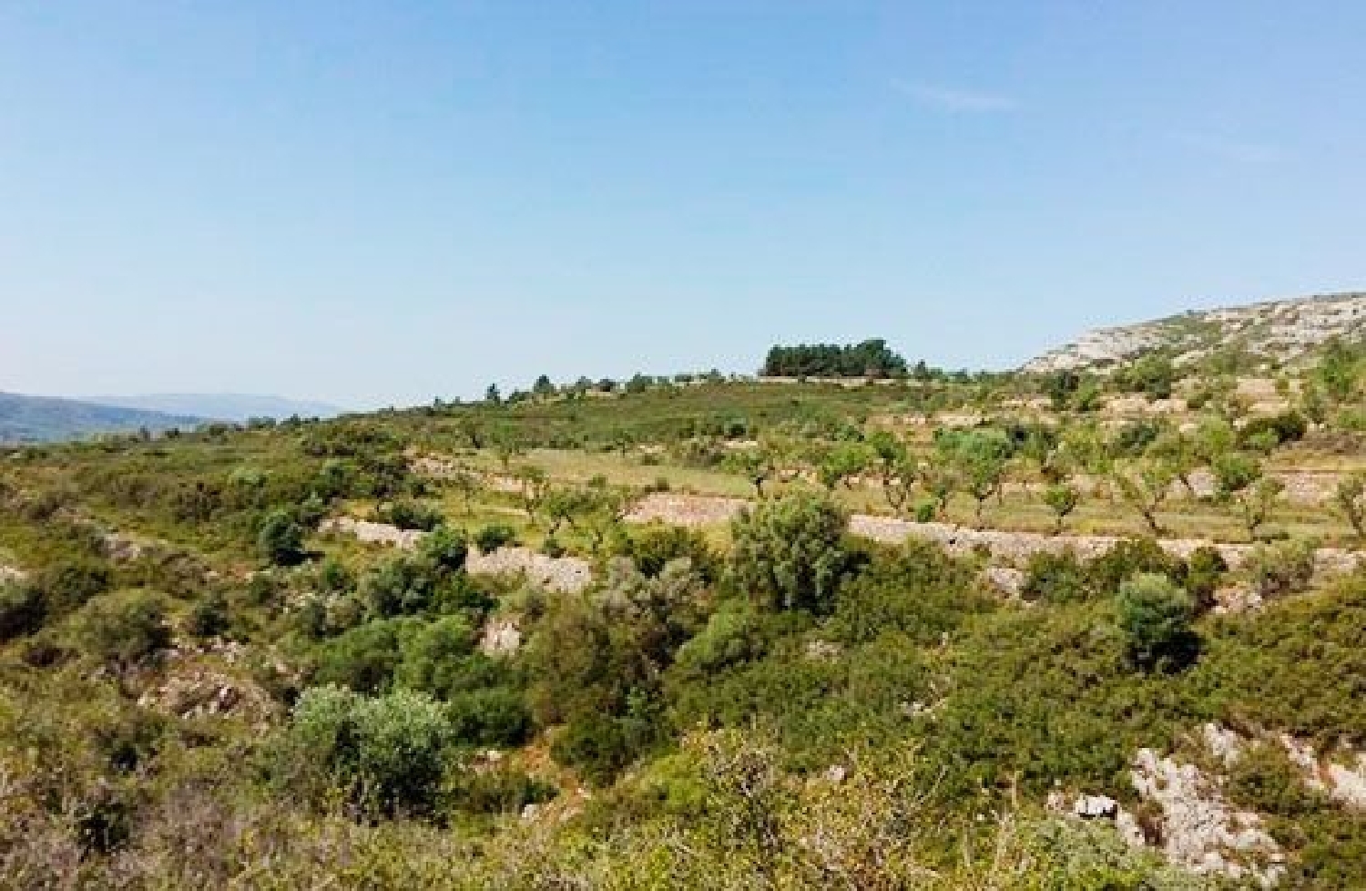  till salu tomt Sant Mateu Baix Maestrat 1