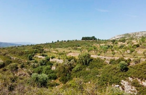 Sant Mateu Baix Maestrat tomt foto 6244134