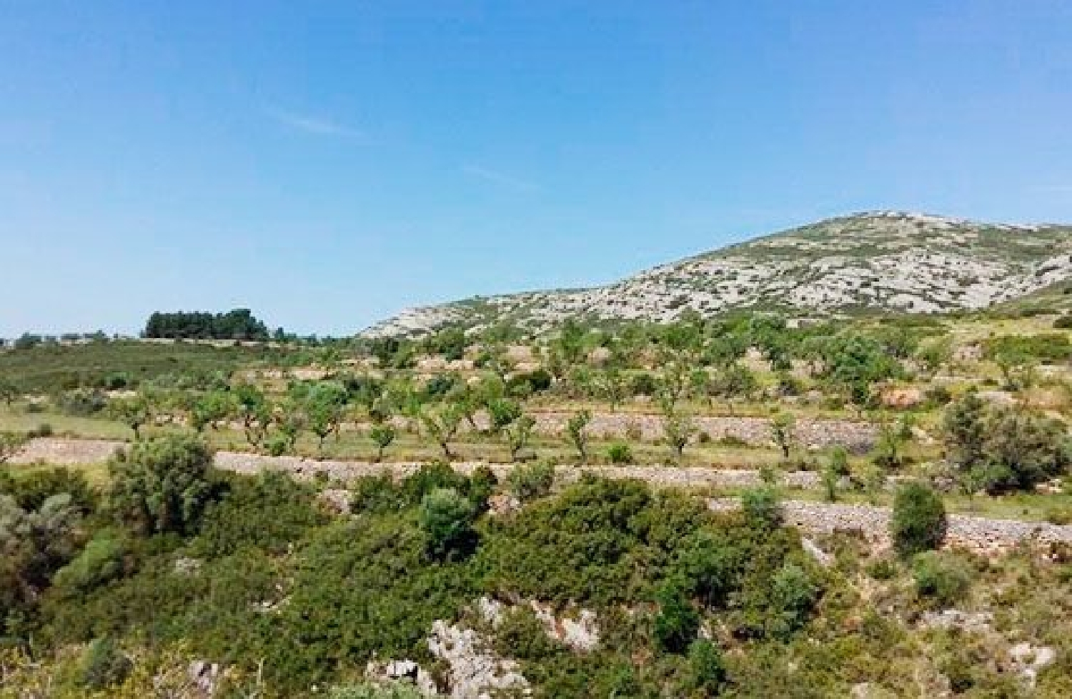  till salu tomt Sant Mateu Baix Maestrat 2