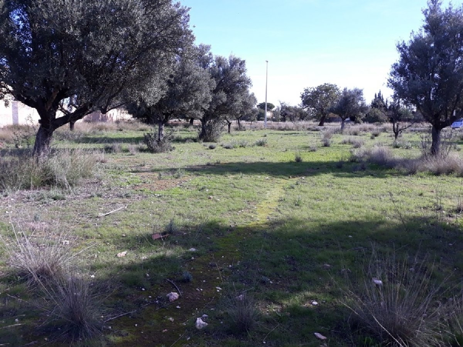  till salu tomt El Corral De La Marquesa Camp De Túria 6