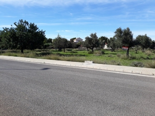 Sant Miquel Camp De Túria tomt foto 6225809