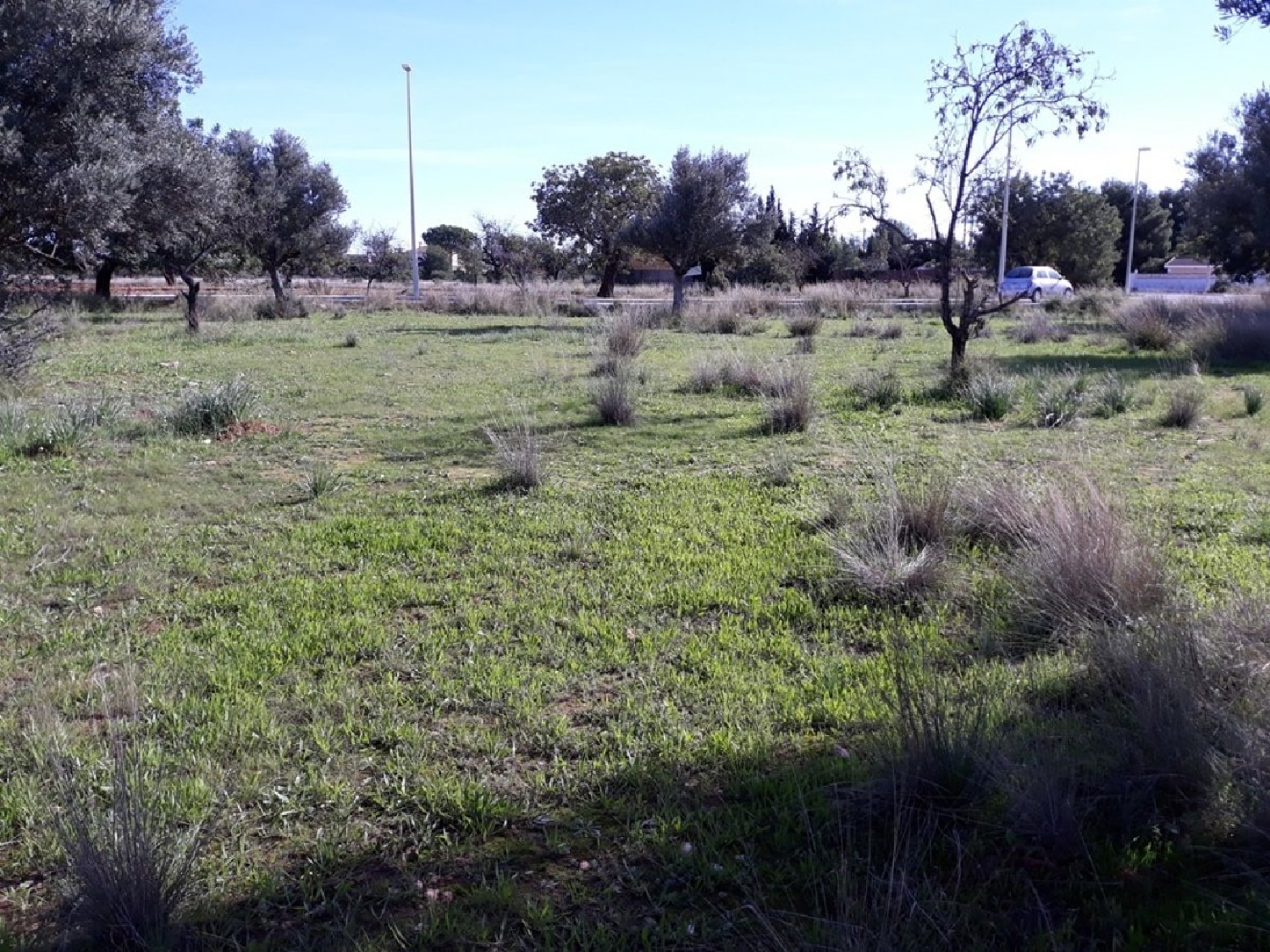  till salu tomt El Corral De La Marquesa Camp De Túria 5