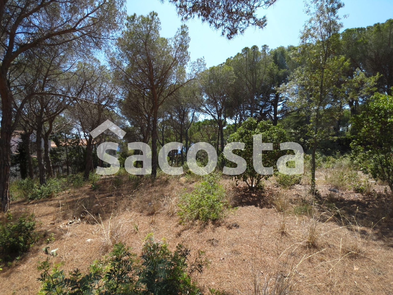 till salu tomt Sant Pere Del Bosc Selva 8