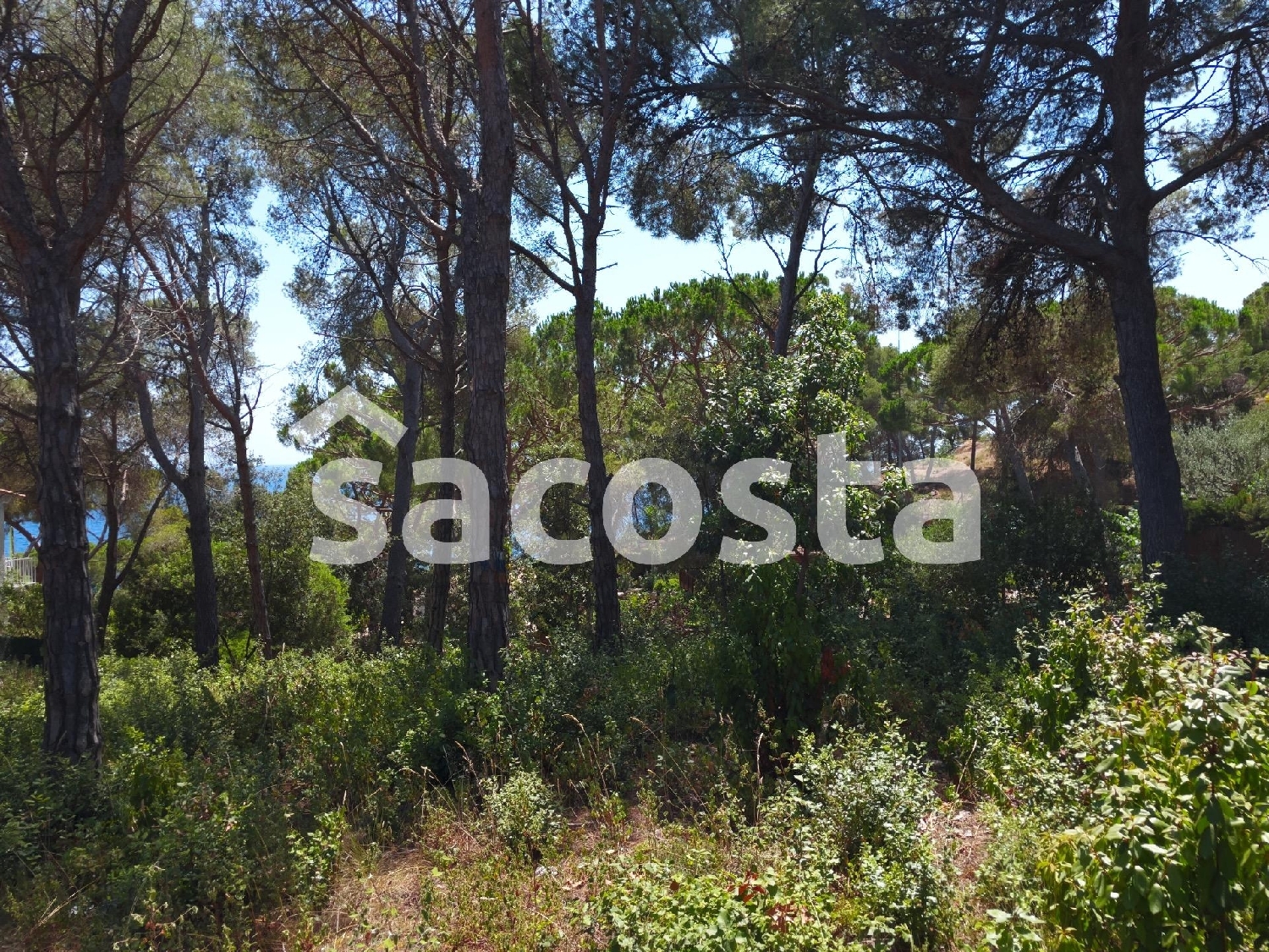  till salu tomt Sant Pere Del Bosc Selva 5