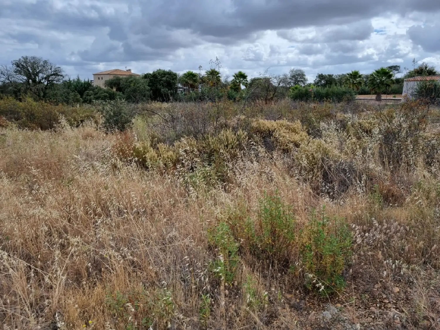  till salu tomt Urbanizacion Rio Caya Badajoz 4