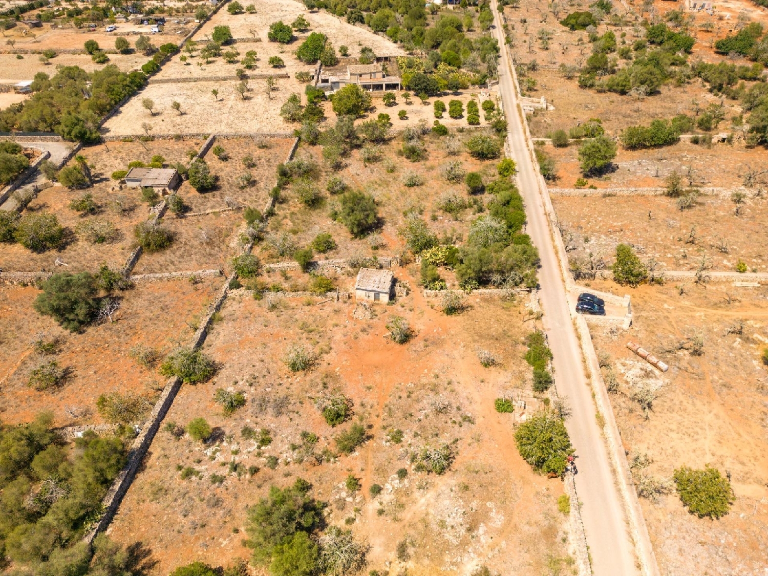  till salu tomt Santa Margalida Nord 8