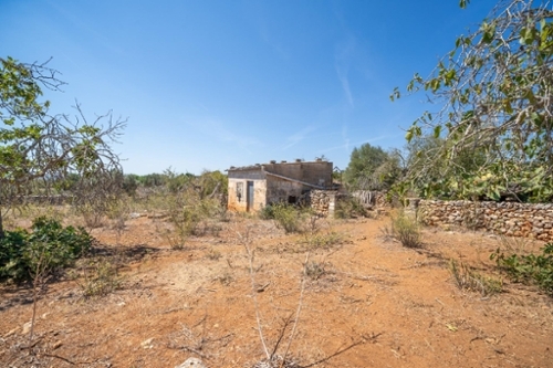 Santa Margalida Nord tomt foto 6234817