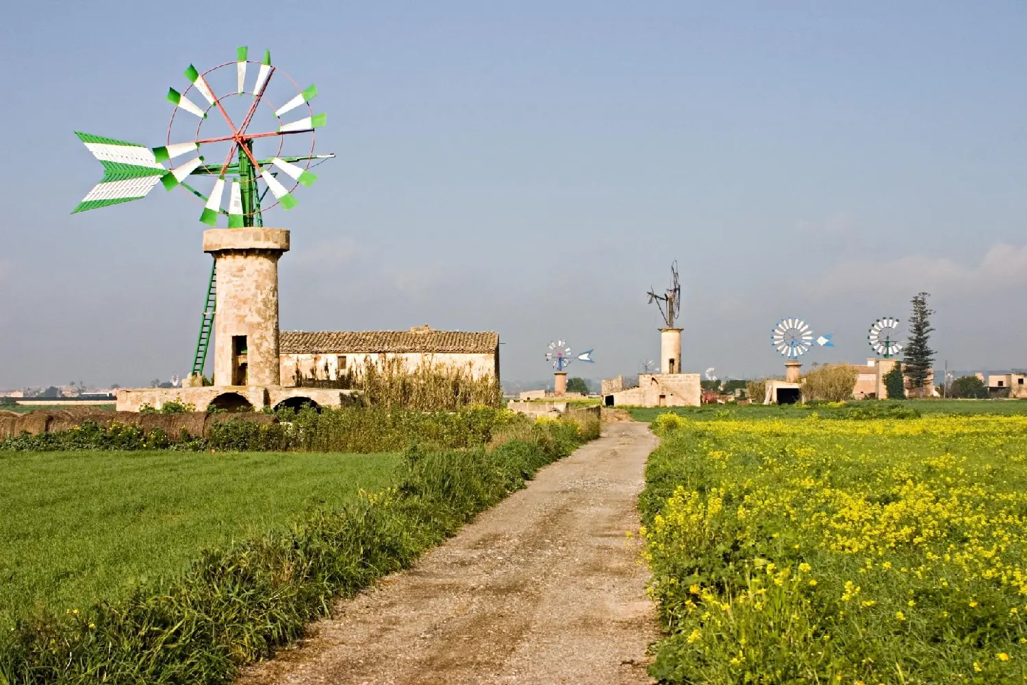  till salu tomt Santa Margalida Nord 8