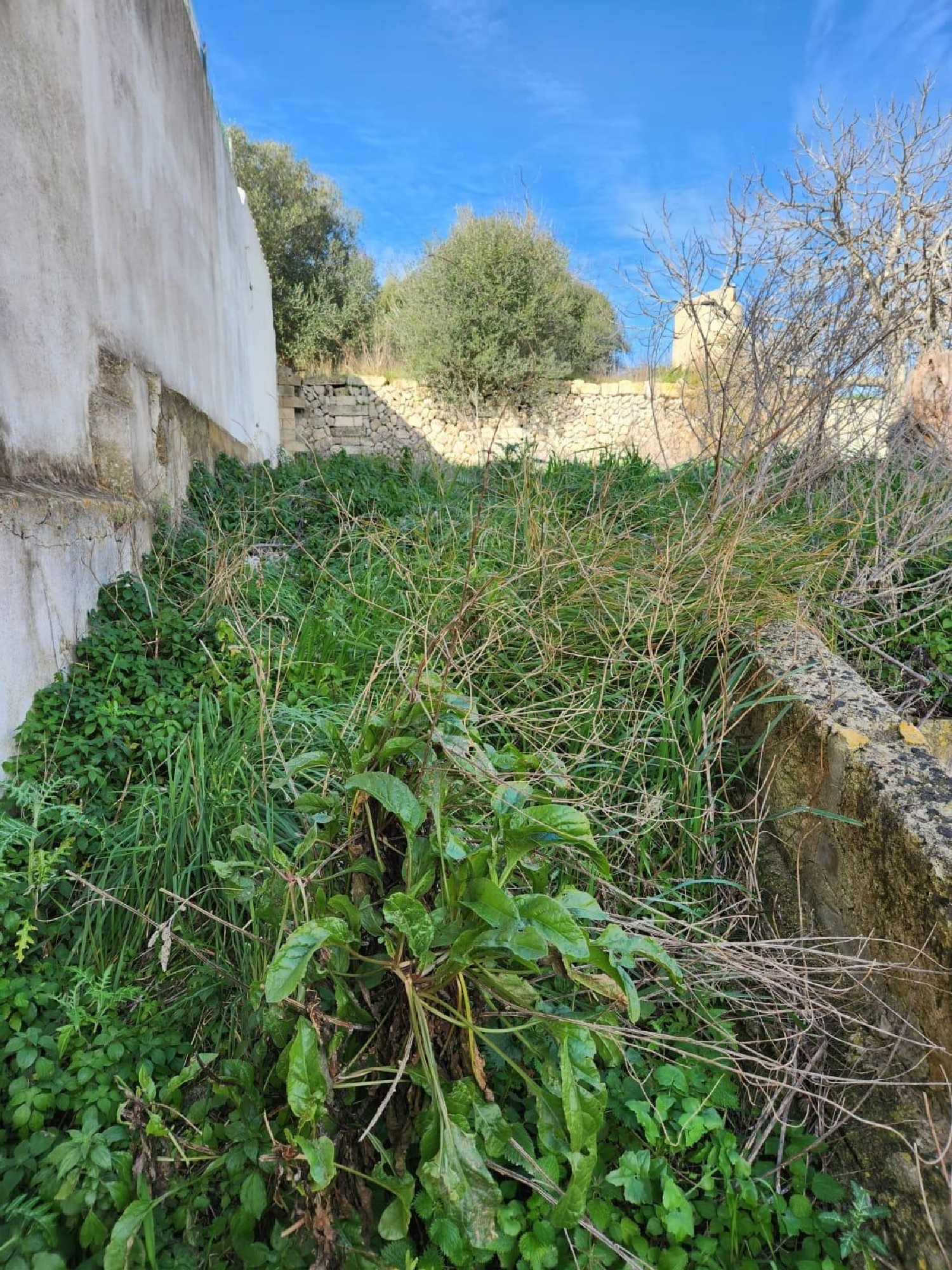  till salu tomt Santa Margalida Nord 4