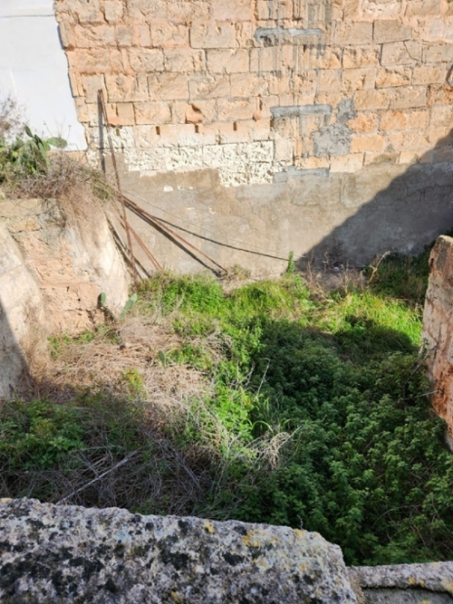Santa Margalida Nord tomt foto 6255082