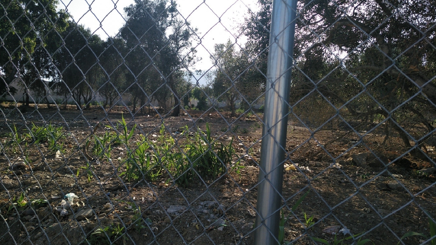  till salu tomt Santa Margarita Campo De Gibraltar 4
