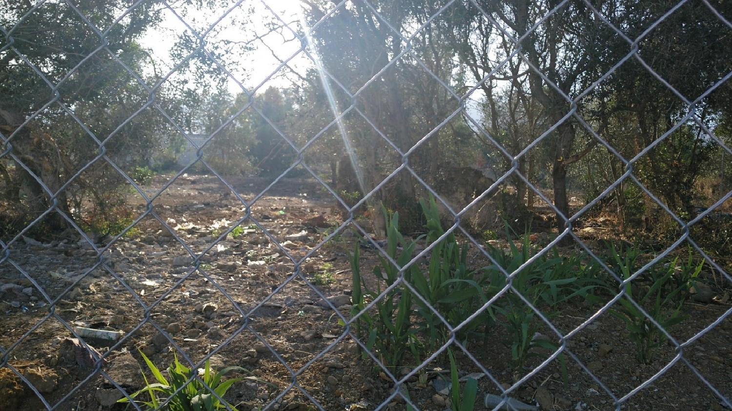 till salu tomt Santa Margarita Campo De Gibraltar 5