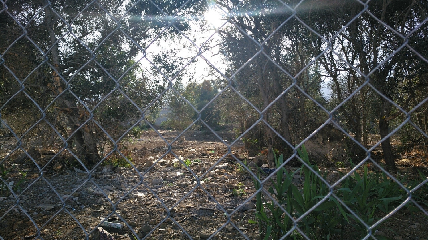  till salu tomt Santa Margarita Campo De Gibraltar 8