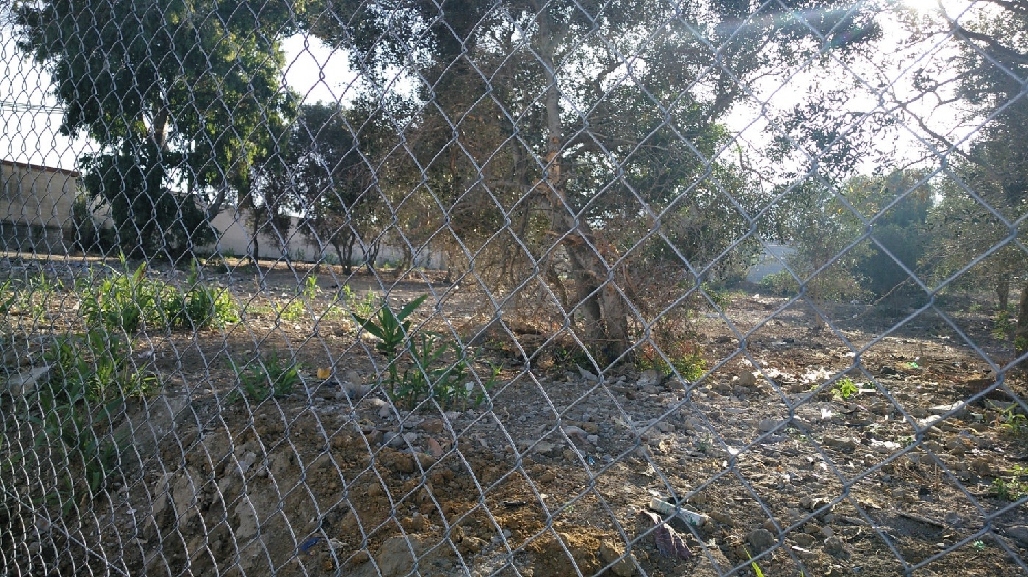  till salu tomt Santa Margarita Campo De Gibraltar 7